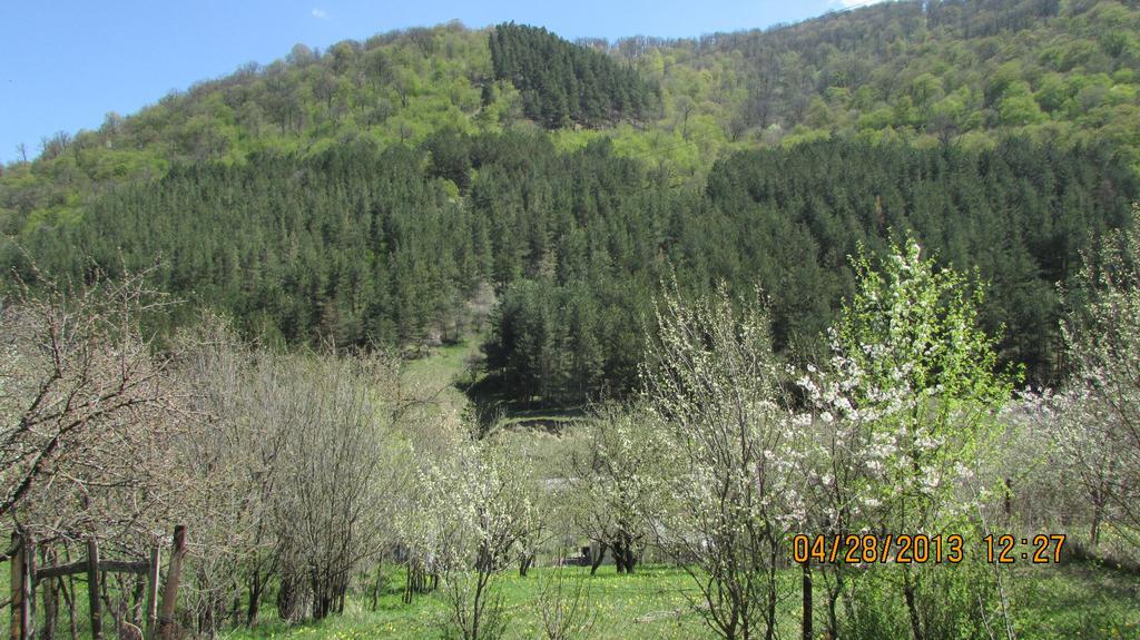 Вилла Dilijan Duplex Экстерьер фото